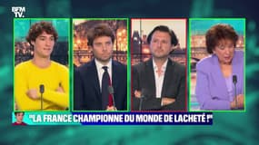 "La France championne du monde de la lâcheté !" - 27/11