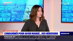 Villefranche-sur-Saône: un couple condamné pour avoir voulu manger des hérissons