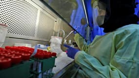 Une laborantine teste des échantillons de vaccins contre le covid-19 à Ramallah dans les Territoires palestiniens le 2 février 2021 (PHOTO D'ILLUSTRATION)