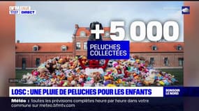 LOSC: plus de 5.000 peluches récoltées pour les enfants démunis lors du match face à Metz