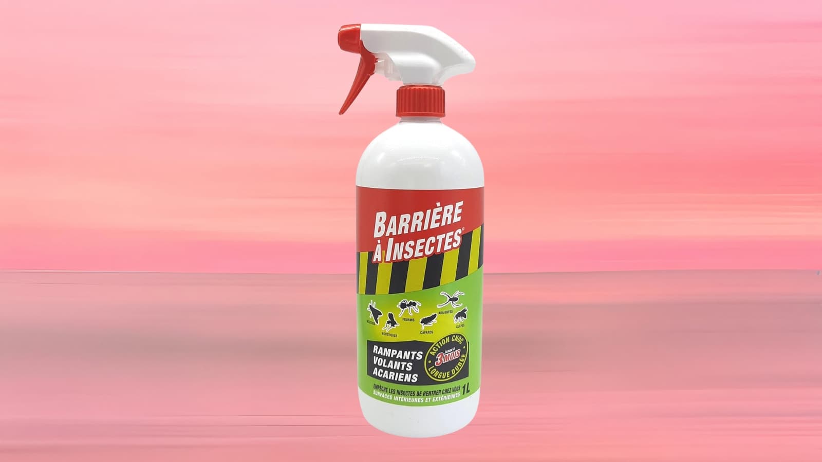 Proposé à petit prix, ce produit anti insectes rampants et volants est