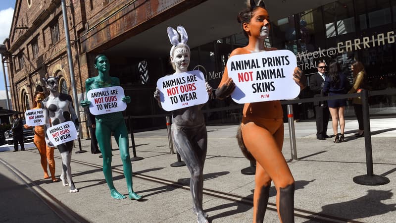 Opération coup de poing de la Peta pendant la Fashion Week en Australie, à Sydney, le 13 avril 2015.