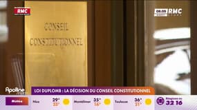 Loi Duplomb : la décision très attendue du Conseil constitutionnel