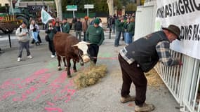 Des agriculteurs manifestent devant la sous-préfecture des Bouches-du-Rhône, à Aix-en-Provence, ce vendredi 29 novembre 2024