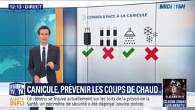 Quels sont les bons conseils à retenir et les gestes à éviter pendant la canicule ?