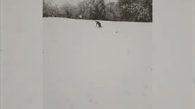 Neige dans le sud-est: vos images témoins