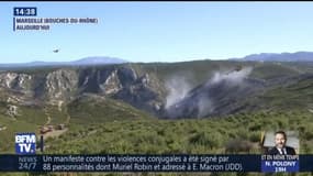À Marseille, le plus gros incendie de l'année est circonscrit 