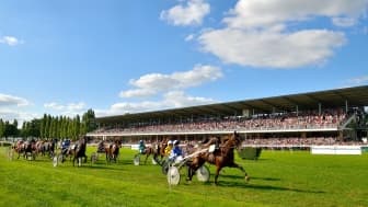 Les pronos hippiques du 4 septembre 2023