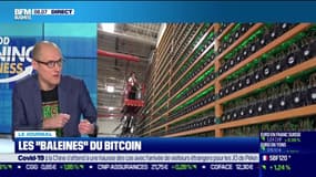 Les “Baleines” du Bitcoin