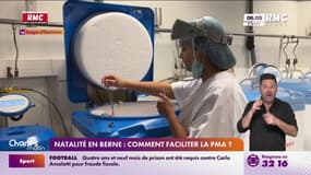 Natalité en berne: comment faciliter la PMA ?