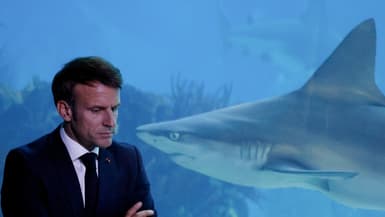 Emmanuel Macron à portée de requins dans l'Oceanarium de Lisbonne en marge de la conférence sur les océans.