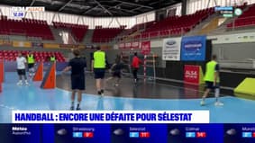 Handball: nouvelle défaite pour Sélestat contre Créteil