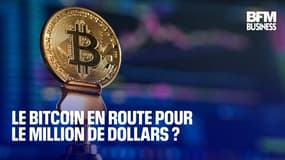 Le bitcoin en route pour le million de dollars?
