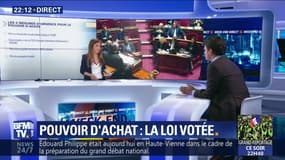 La loi sur le pouvoir d'achat votée par le Parlement