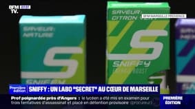 Un laboratoire Sniffy "secret" au cœur de Marseille