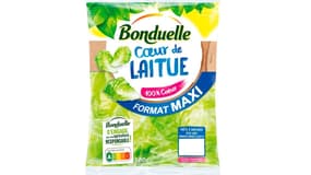 Bonduelle a fait part à ses salariés de son projet de fermeture du site de Saint Mihiel dans le département de la Meuse (159 personnes).