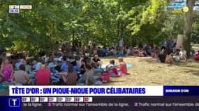 Lyon: un pique-nique pour les célibataires au parc de la Tête d'Or