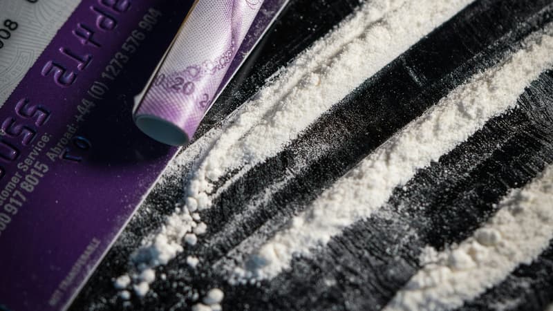 Deux saisies ont permis aux douaniers d'intercepter respectivement 262 kg et 360 kg de cocaïne, selon le magistrat. (illustration).