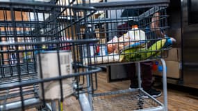 Un bénévole qui remplit un panier pour une personne dans le besoin à la banque alimentaire Reaching Out Community Services, le 25 mars 2025, dans le quartier de Brooklyn à New York.
