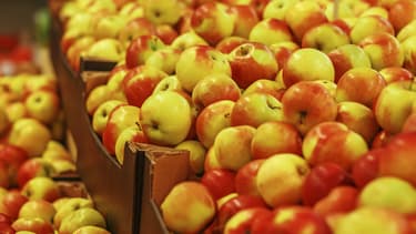 Des pommes (photo d'illustration).
