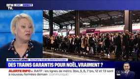 Plan de transports: selon Delphine Ledieu (UNSA Ferroviaire), "la SNCF fait des paris sur l'avenir"