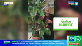 Jardinage, Titanic et Jeux vidéo...- La météo de Colas du mardi 18 novembre 2025