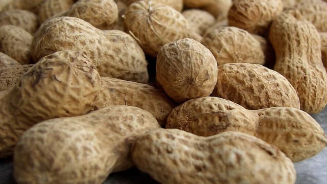 L'arachide est présente dans de nombreuses recettes et produits industriels.