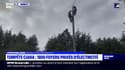 Tempête Ciara: 1800 foyers privés d'électricité, les agents d'Enedis s'activent pour rétablir le courant