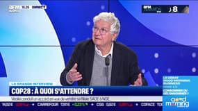 COP28: à quoi s'attendre ?