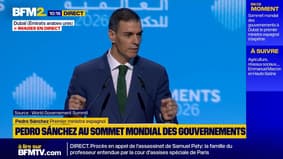 Réseaux sociaux: "Aujourd'hui nos enfants sont exposés à un espace dans lequel ils n'étaient pas censés naviguer", déclare Pedro Sánchez