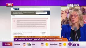Loi Duplomb - Pétition : "C'est un fait politique il faut l'entendre"