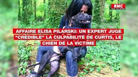 Affaire Elisa Pilarski: la culpabilité de Curtis, le chien de la victime, mise en cause