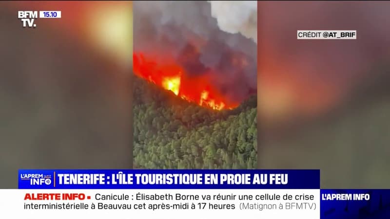 L'incendie à Tenerife en Espagne a ravagé plus de 1800 hectares de forêt