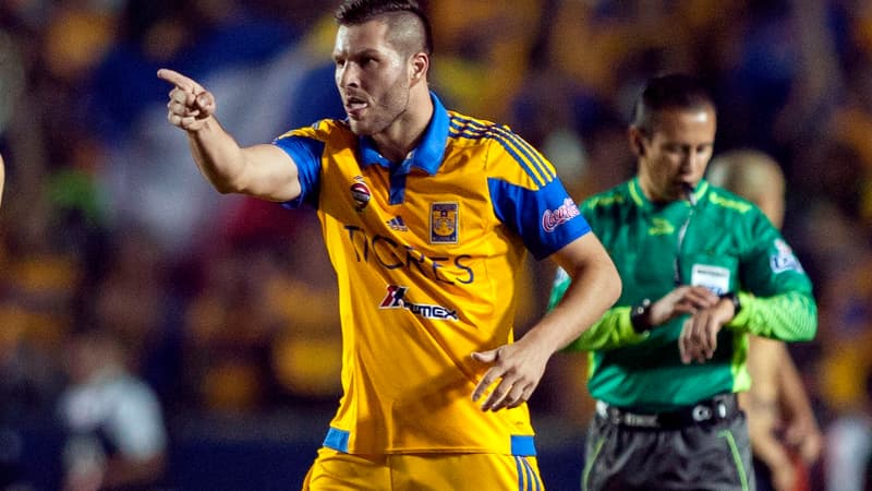 Tigres-Pumas : André-Pierre Gignac n'est plus qu'à un match du titre