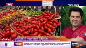 La colère des producteurs de tomates 
