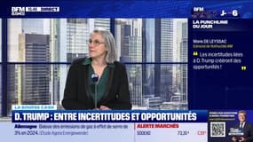 La bourse cash : "Les incertitudes liées à D. Trump crééront des opportunités" - 07/01