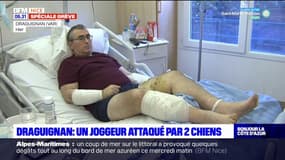 Draguignan: un joggeur grièvement blessé par deux chiens