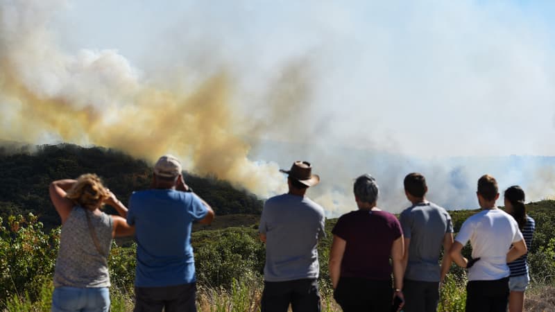 Quelques 280 personnes ont dû être évacuées face à la virulence de l'incendie dans l'Hérault ce juillet 2022.