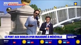 Essonne: le pont aux boules d'or inauguré à Méréville
