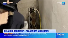 Allauch : moins belle la vie des mal-logés