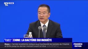 Maladie respiratoire en Chine: que sait-on de cette nouvelle épidémie?