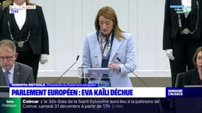 Strasbourg: Eva Kaïla déchue du Parlement européen