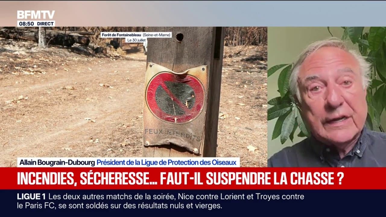 Sécheresse: "On assiste à une situation complètement inédite et dramatique pour le gibier d'eau", explique le président de la Ligue de Protection des Oiseaux