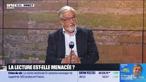 Vincent Montagne (Syndicat National de l'Édition) : l'édition menacée par les droits de douane ? - 08/04