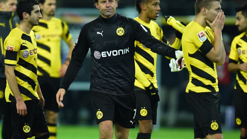 Roman Weidenfeller (Borussia Dortmund)