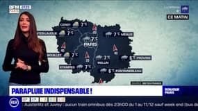 Météo Paris-Ile de France du 11 décembre: Parapluie indispensable