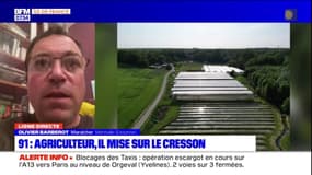 Olivier Barberot, maraîcher à Méréville, mise sur le cresson