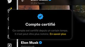Les vieux comptes certifiés, comme celui d'Elon Musk, perdront leur badge bleue s'ils ne s'abonnent pas à Twitter Blue.