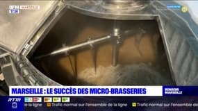 Marseille : le succès des micro-brasseries 