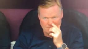 Ronald Koeman surpris en train de se gratter le nez pendant Pays-Bas-Pologne (2-1, Euro), le 16 juin 2024